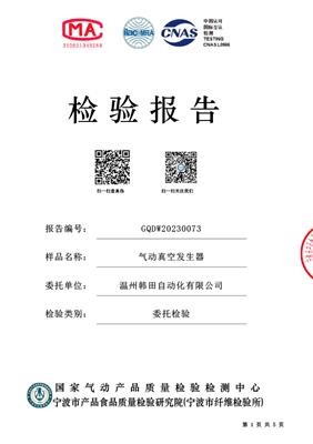 Pneumatic vacuum generator inspection report
